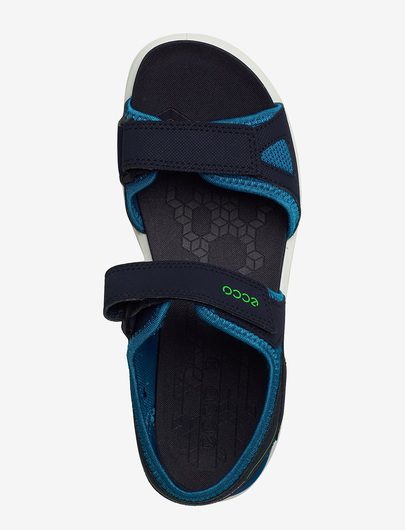 ECCO - BIOM RAFT - night sky - 3