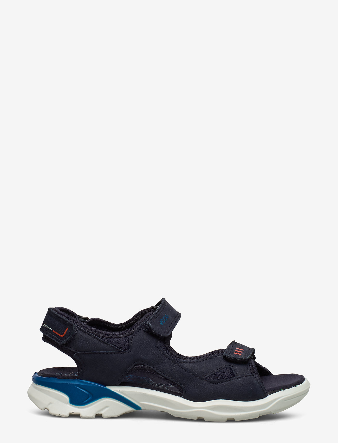 ECCO - BIOM RAFT - night sky - 1