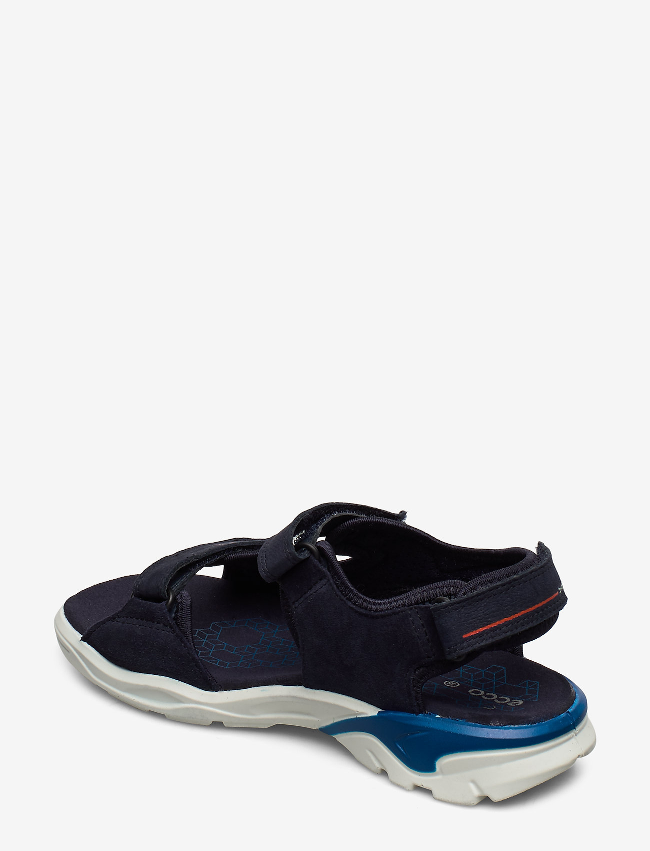 ECCO - BIOM RAFT - night sky - 2