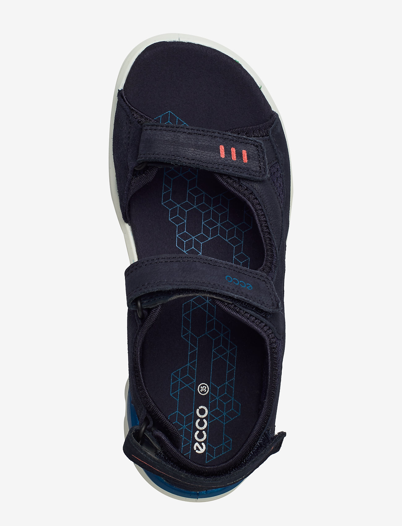 ECCO - BIOM RAFT - night sky - 3