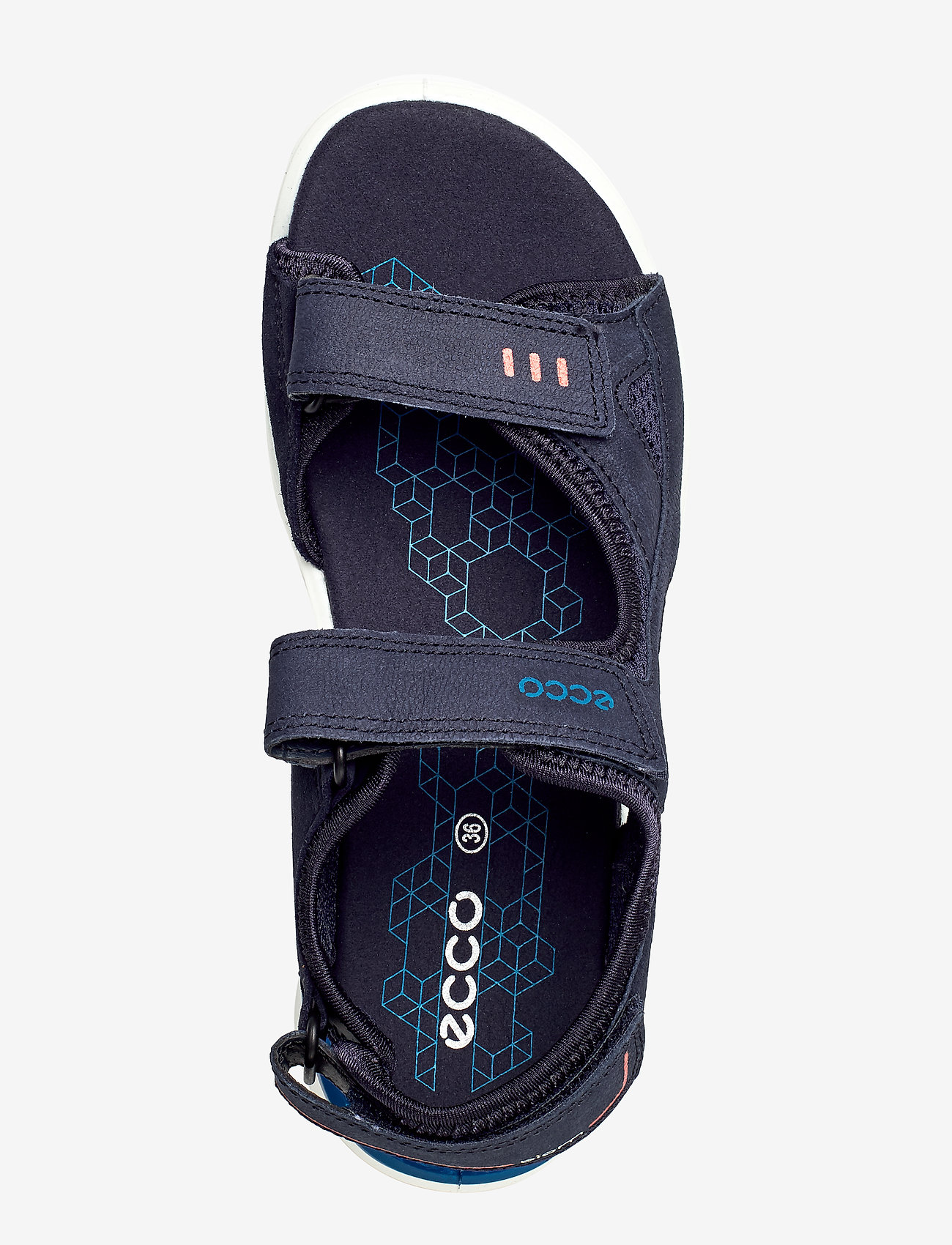 ECCO - BIOM RAFT - night sky - 3