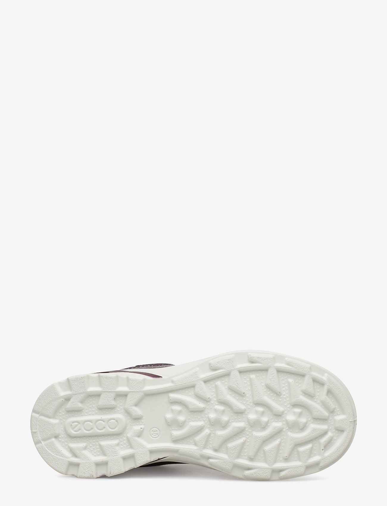 ECCO - BIOM VOJAGE - grape/grape - 4