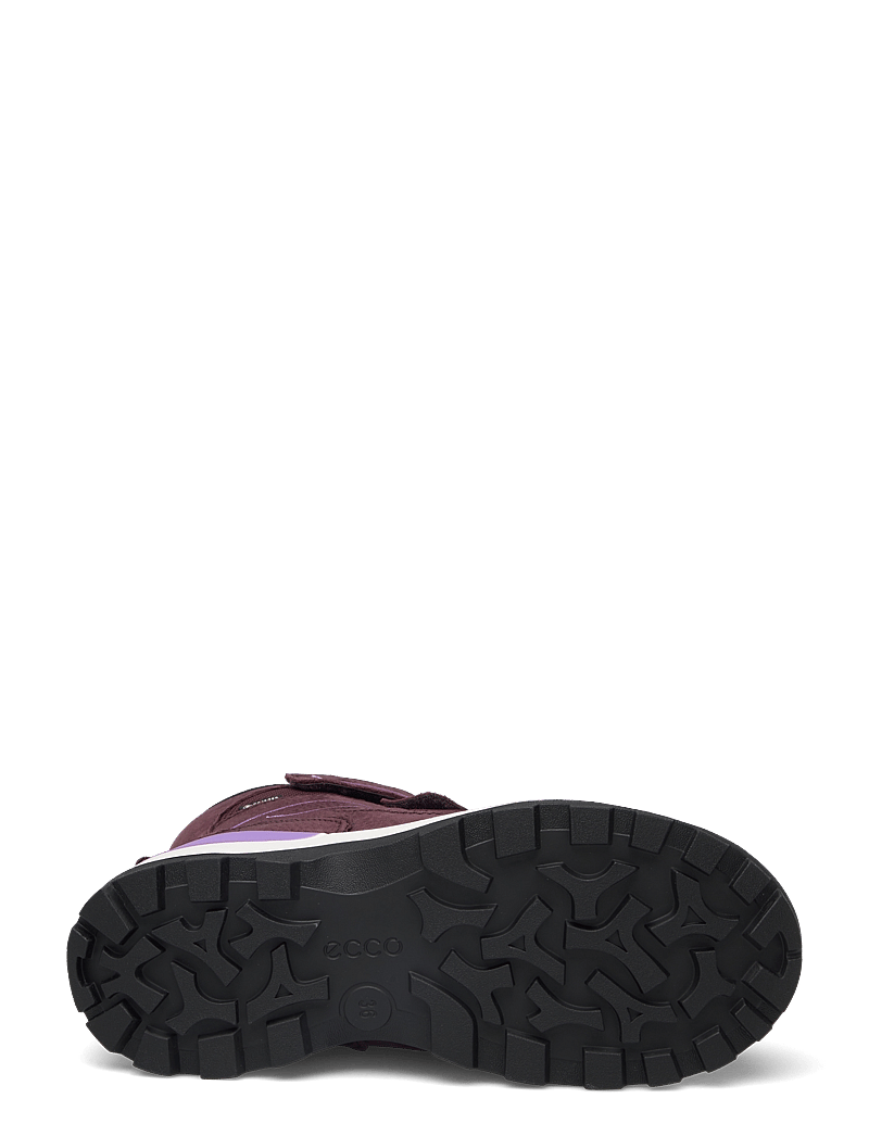 ECCO - SNOW MOUNTAIN - black/fig/fig - 4
