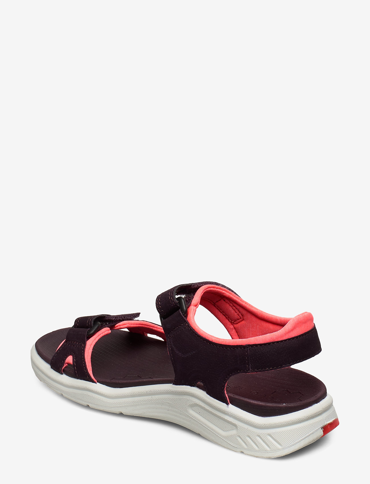 ECCO - X-TRINSIC K - fig - 2