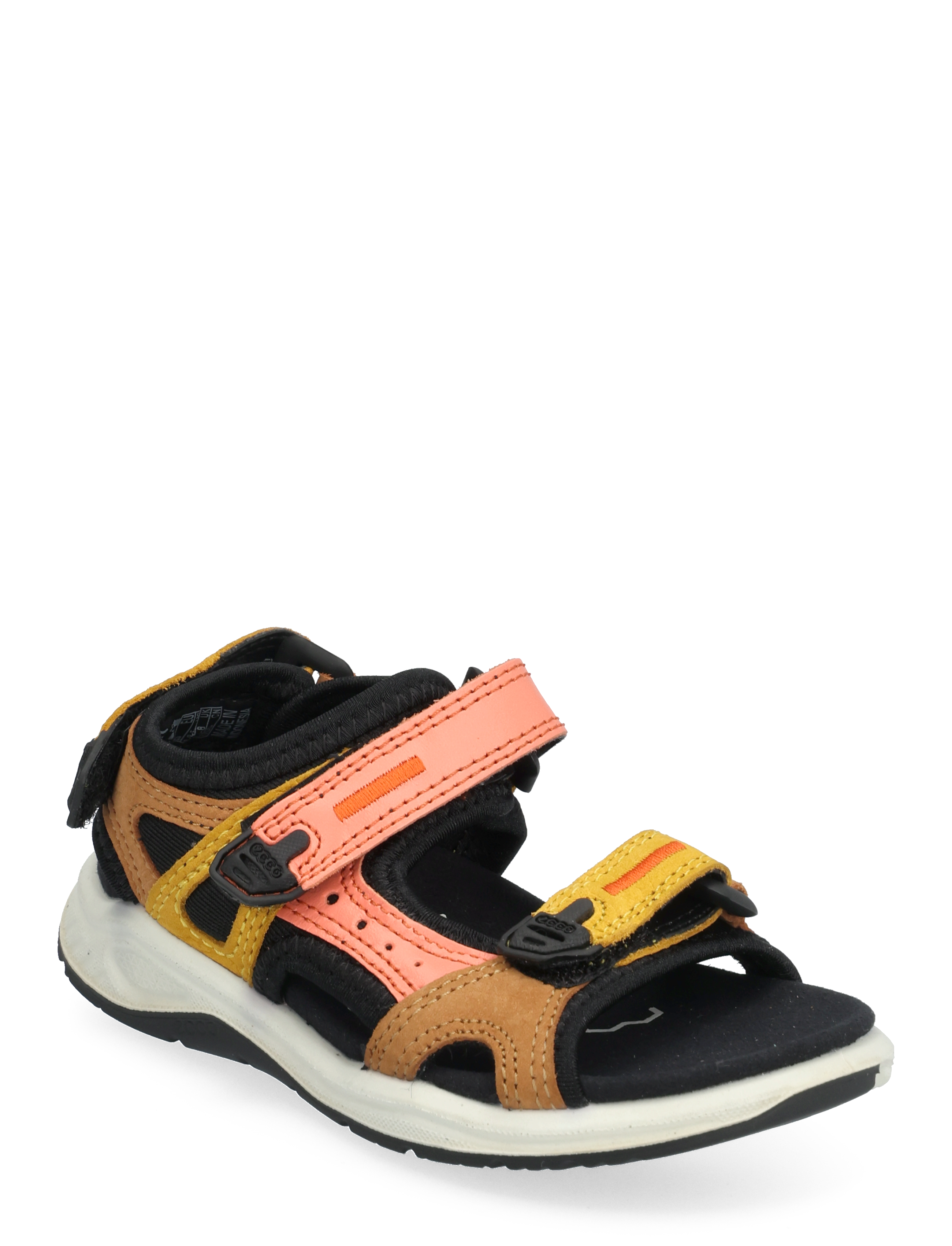 MULTICOLOR CORAL