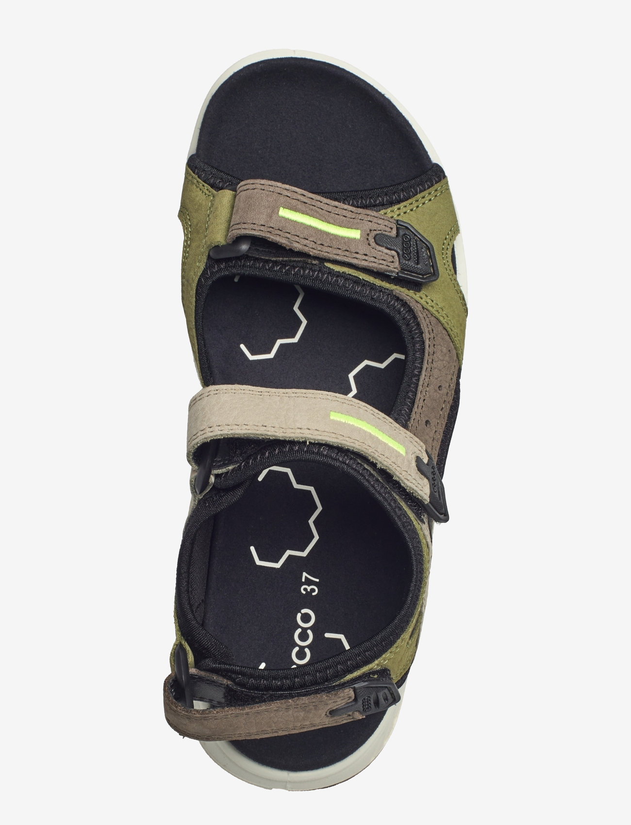 ECCO - X-TRINSIC K - sünnipäevakingitused - multicolor acorn - 3