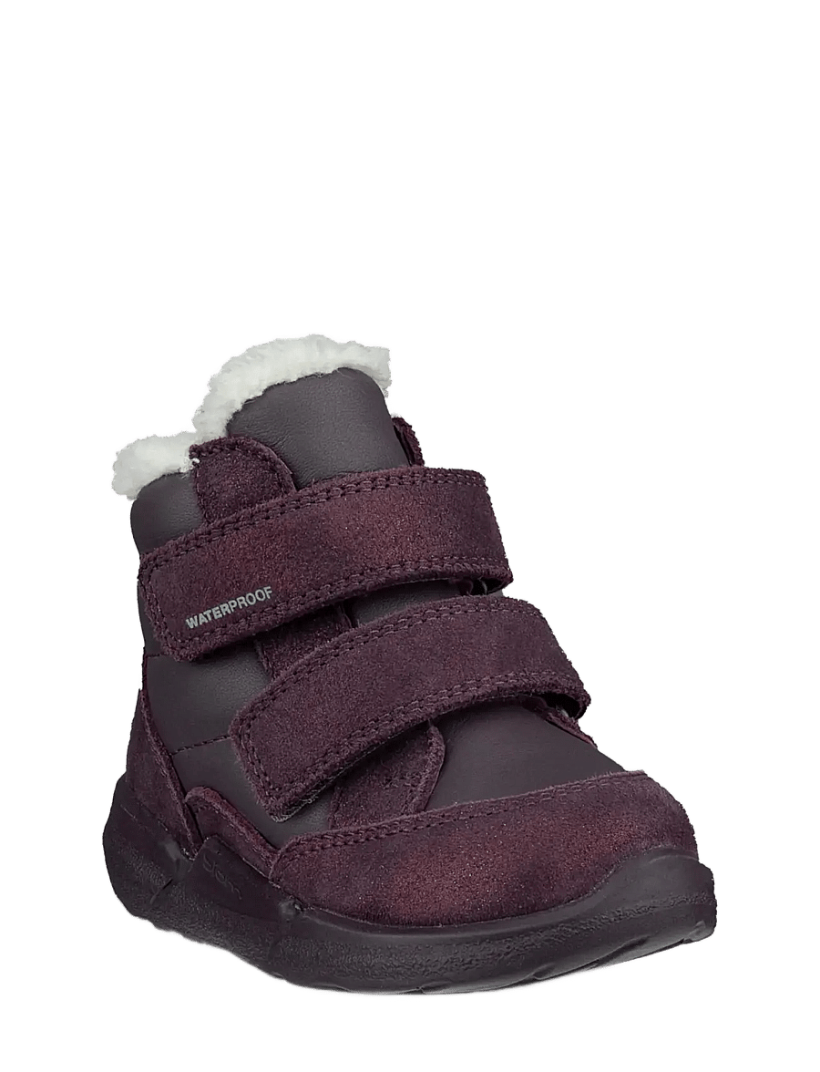 ECCO - BIOM 2.2 INFANT - talvesaapad - mauve/night shade barolo - 0