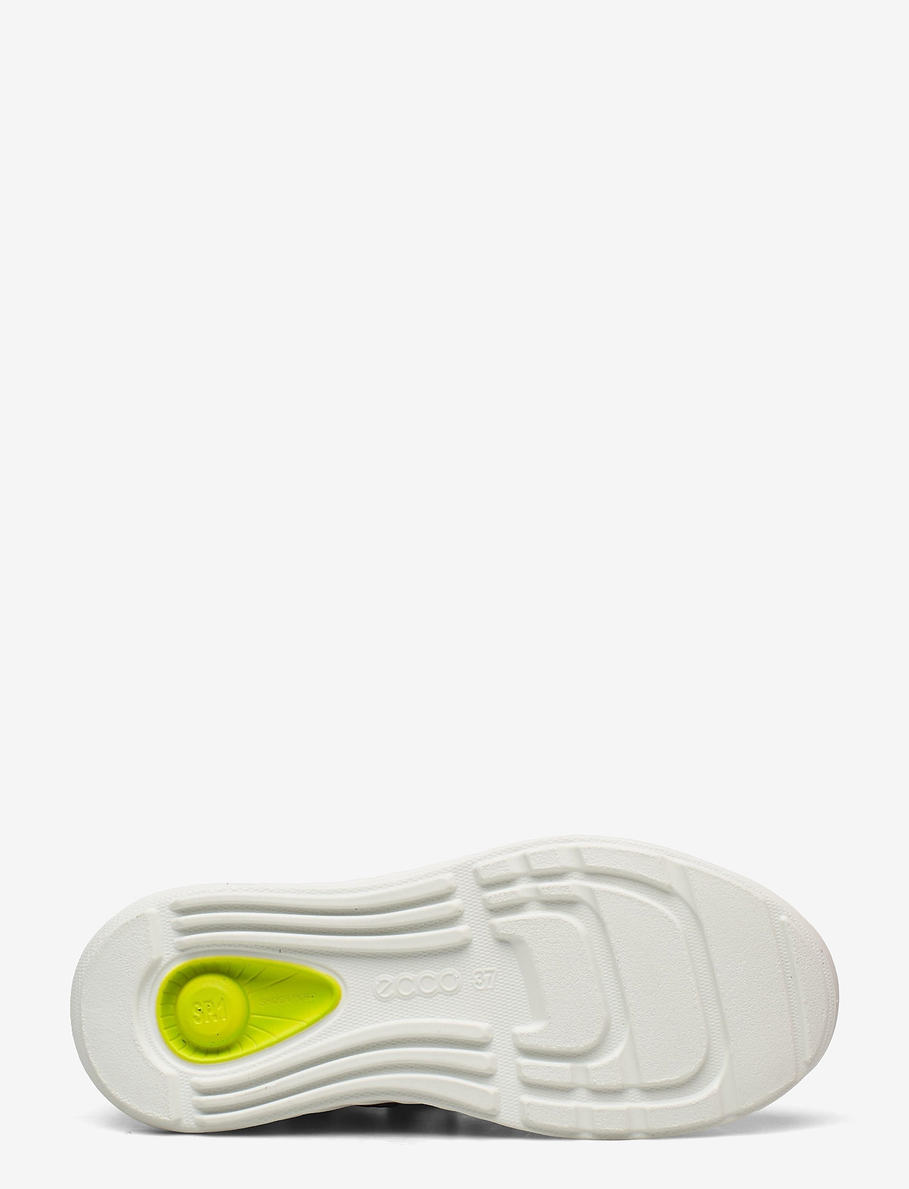 ECCO - SP.1 LITE K - magnet - 4