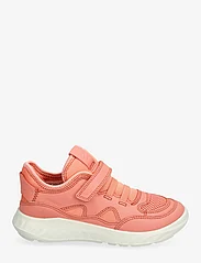 ECCO - SP.1 LITE K - sommarfynd - coral/coral/coral - 1
