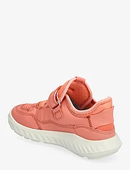 ECCO - SP.1 LITE K - vattentäta sneakers - coral/coral/coral - 2