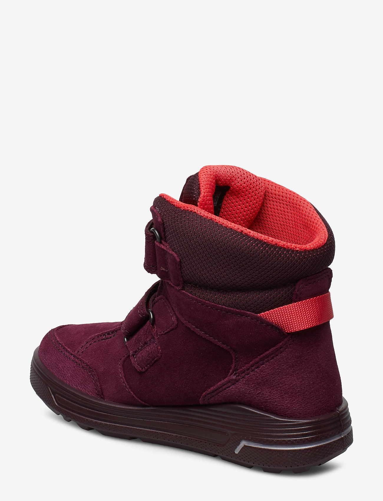 ECCO - URBAN SNOWBOARDER - aubergine/teaberry - 1