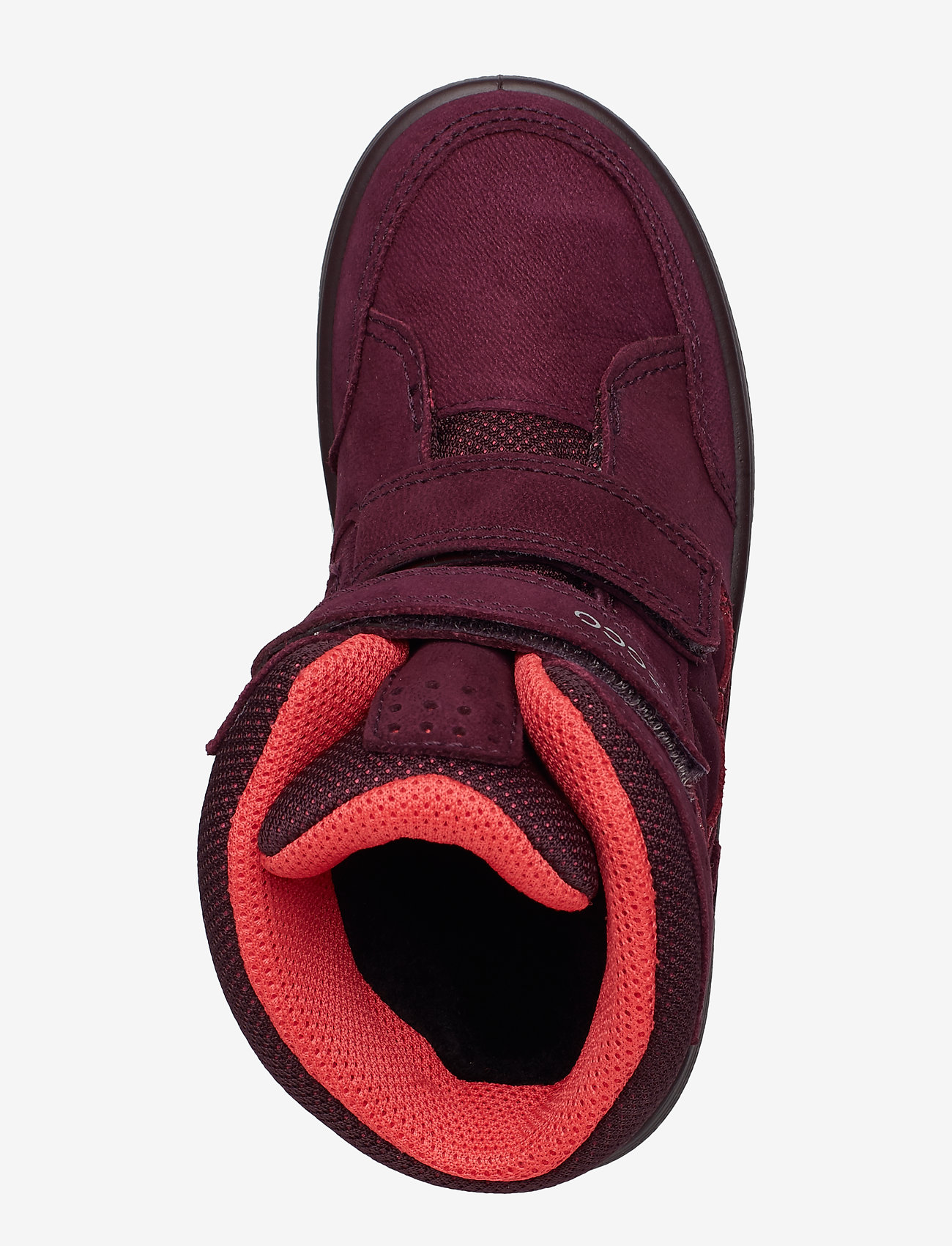 ECCO - URBAN SNOWBOARDER - aubergine/teaberry - 3