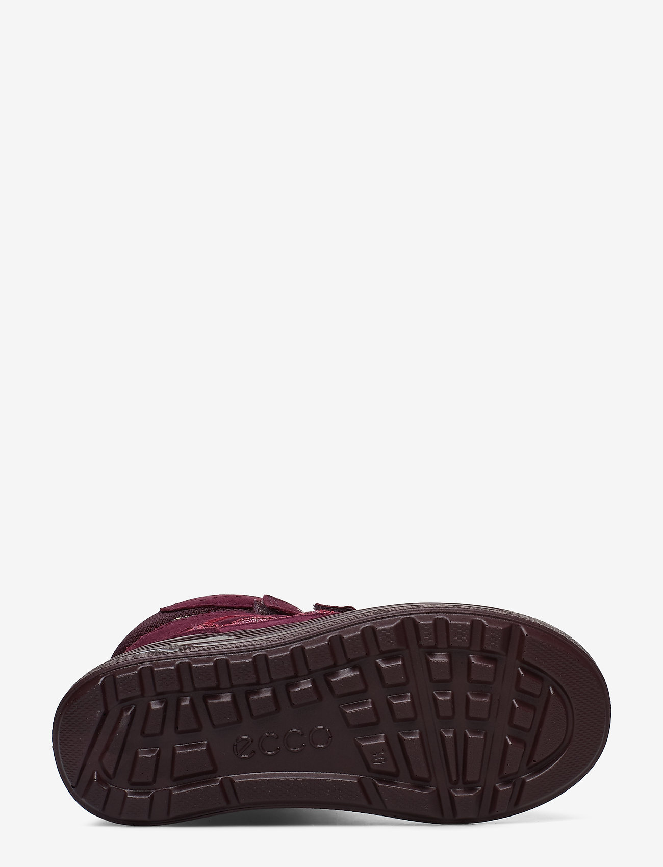 ECCO - URBAN SNOWBOARDER - aubergine/teaberry - 4