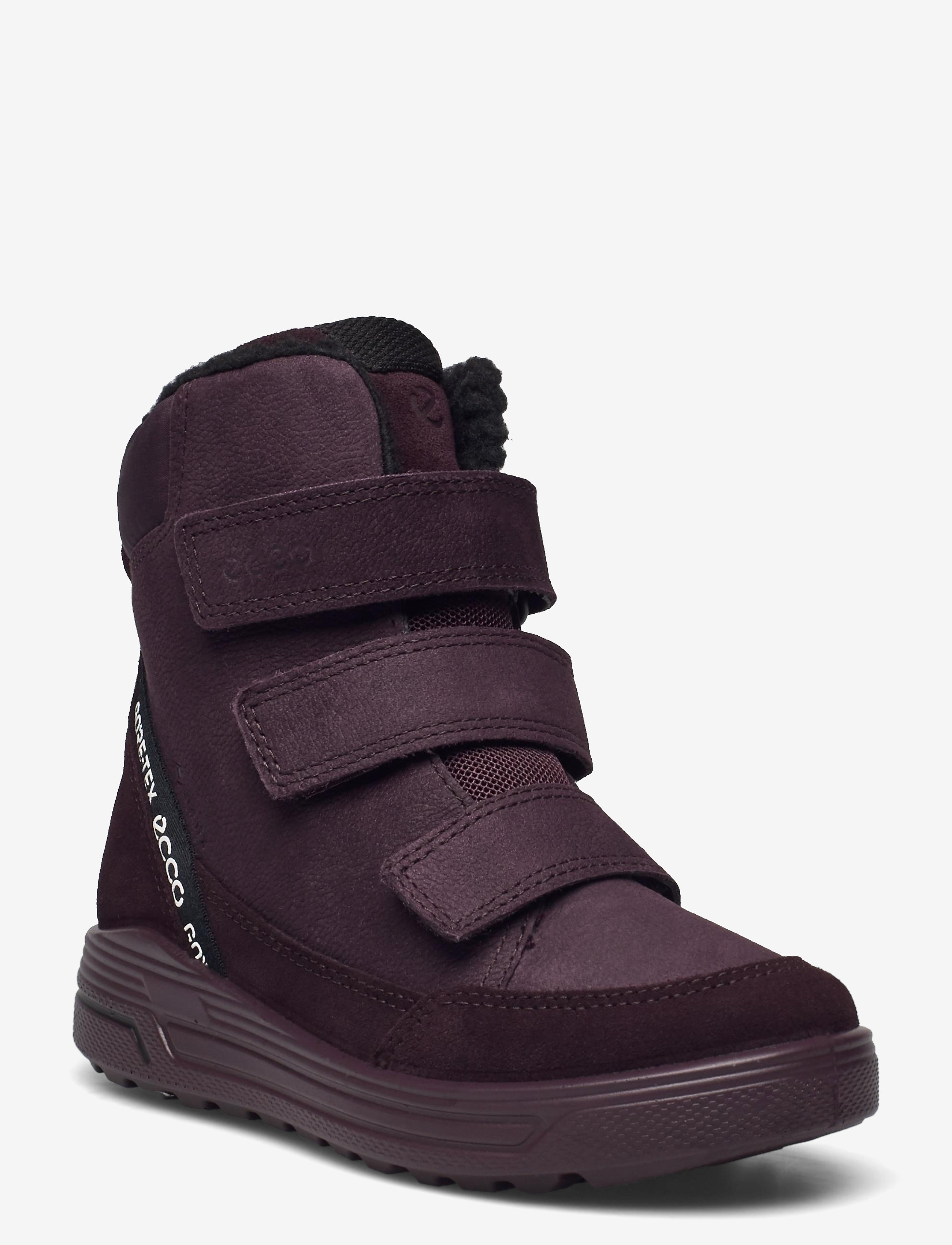 ECCO URBAN SNOWBOARDER - Shoes - FIG/FIG/FIG / purple