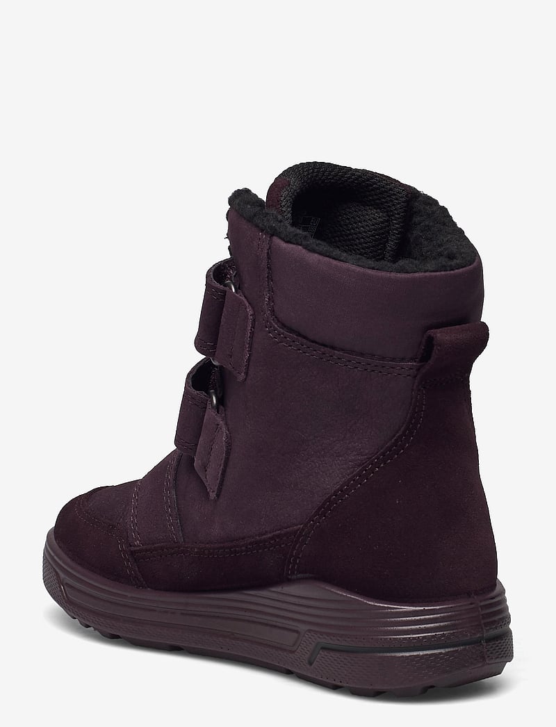 ECCO - URBAN SNOWBOARDER - fig/fig/fig - 2