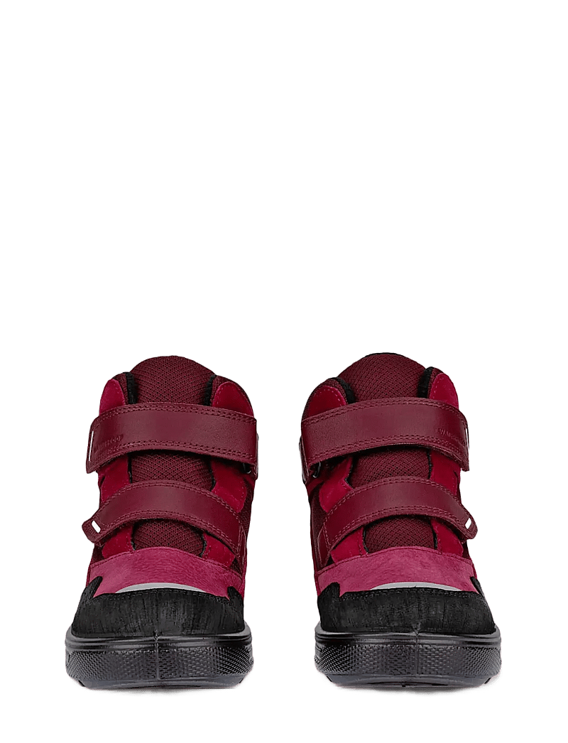 ECCO - URBAN SNOWBOARDER - vinterstövlar - black/red plum/dark ruby - 4