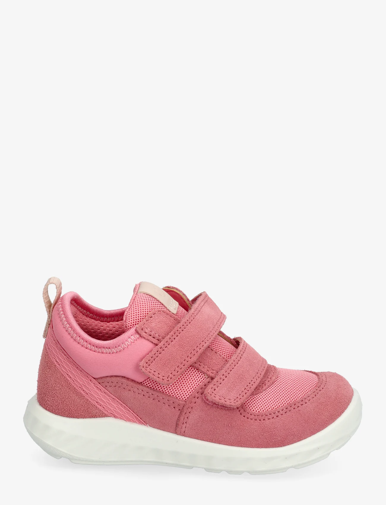 ECCO - SP.1 LITE INFANT - lave sneakers - bubblegum/bubblegum - 1