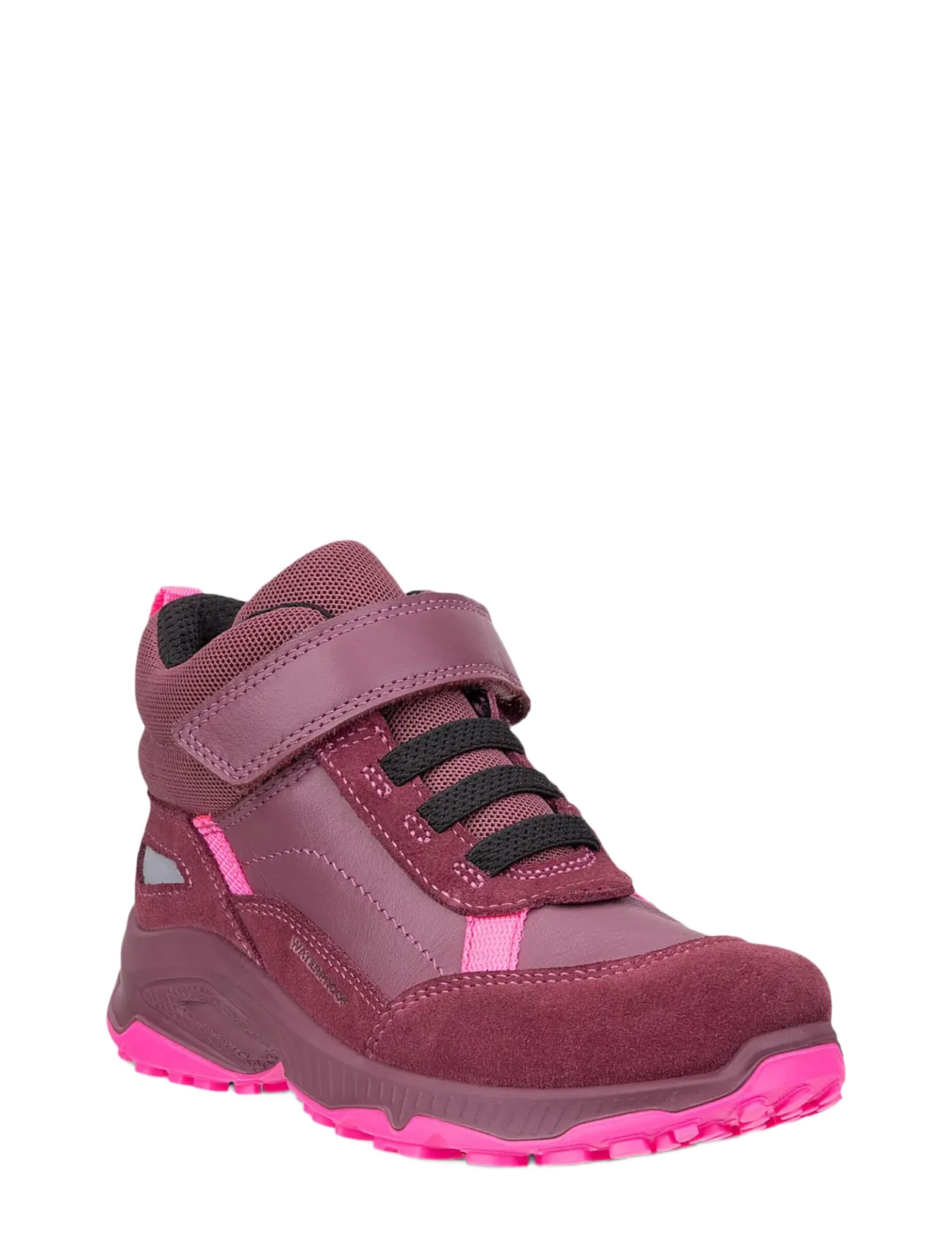 NOCTURNE/NOCTURNE/ULTRA PINK