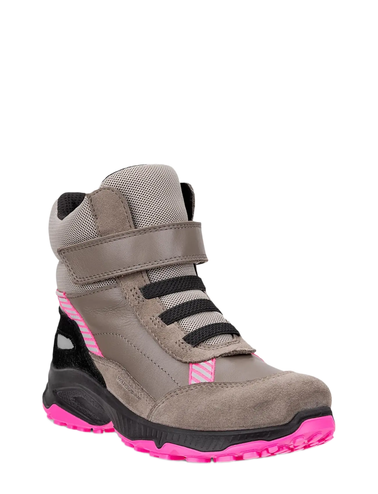 ECCO RECEPTOR XP K - Wintersport - FALCON/FALCON/MOON ROCK / grey