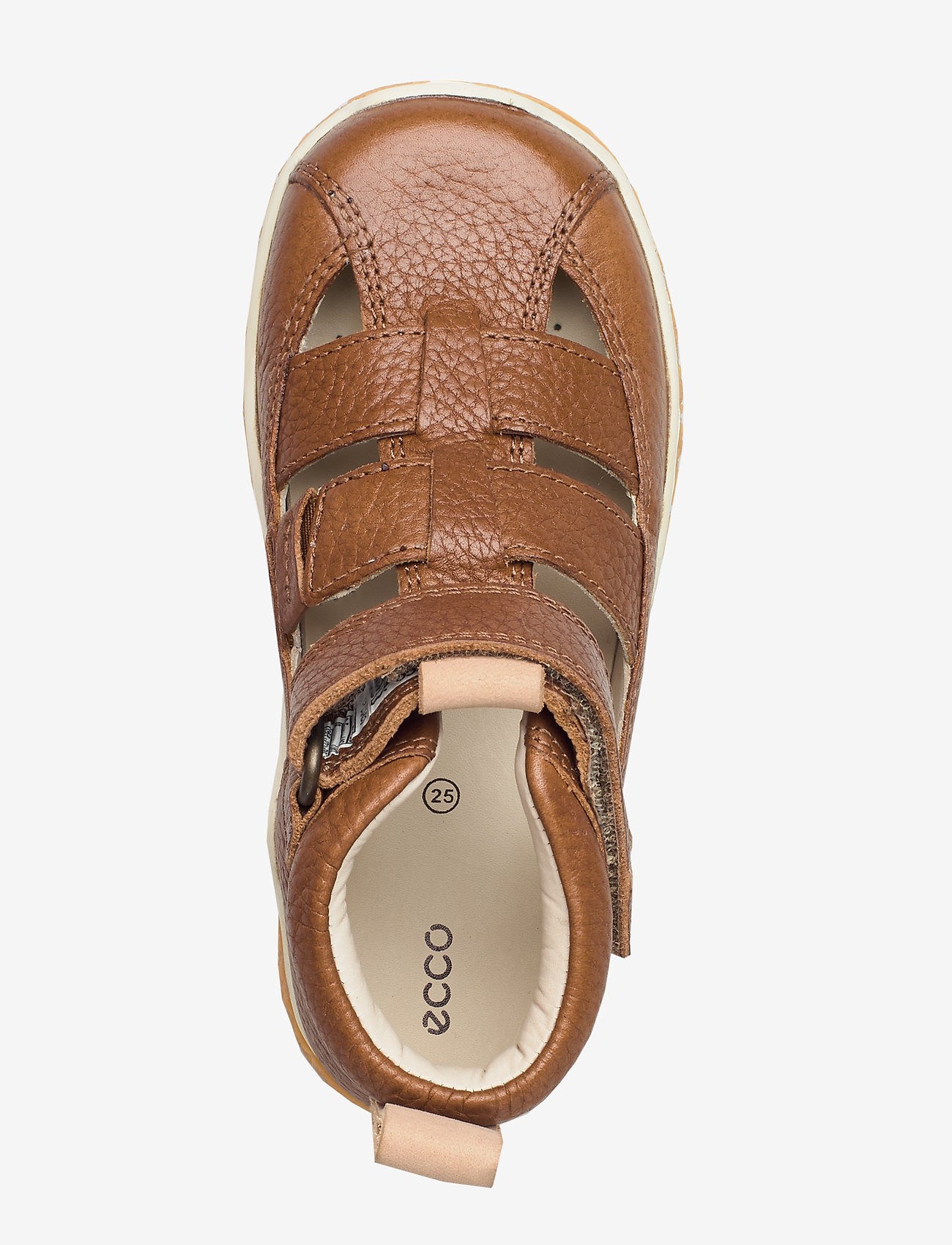ECCO - CREPETRAY MINI - bast - 3