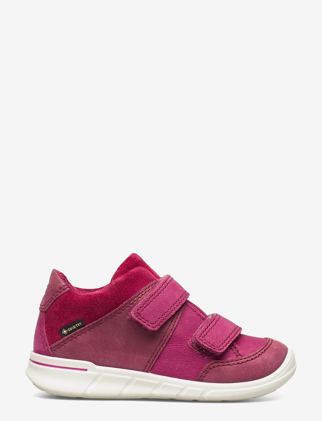 ECCO - FIRST - morillo/red plum/red plum - 1