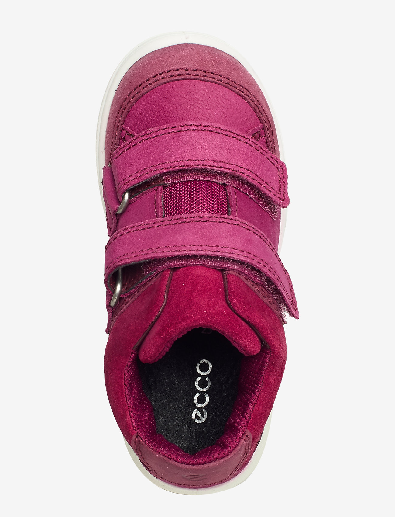 ECCO - FIRST - morillo/red plum/red plum - 3