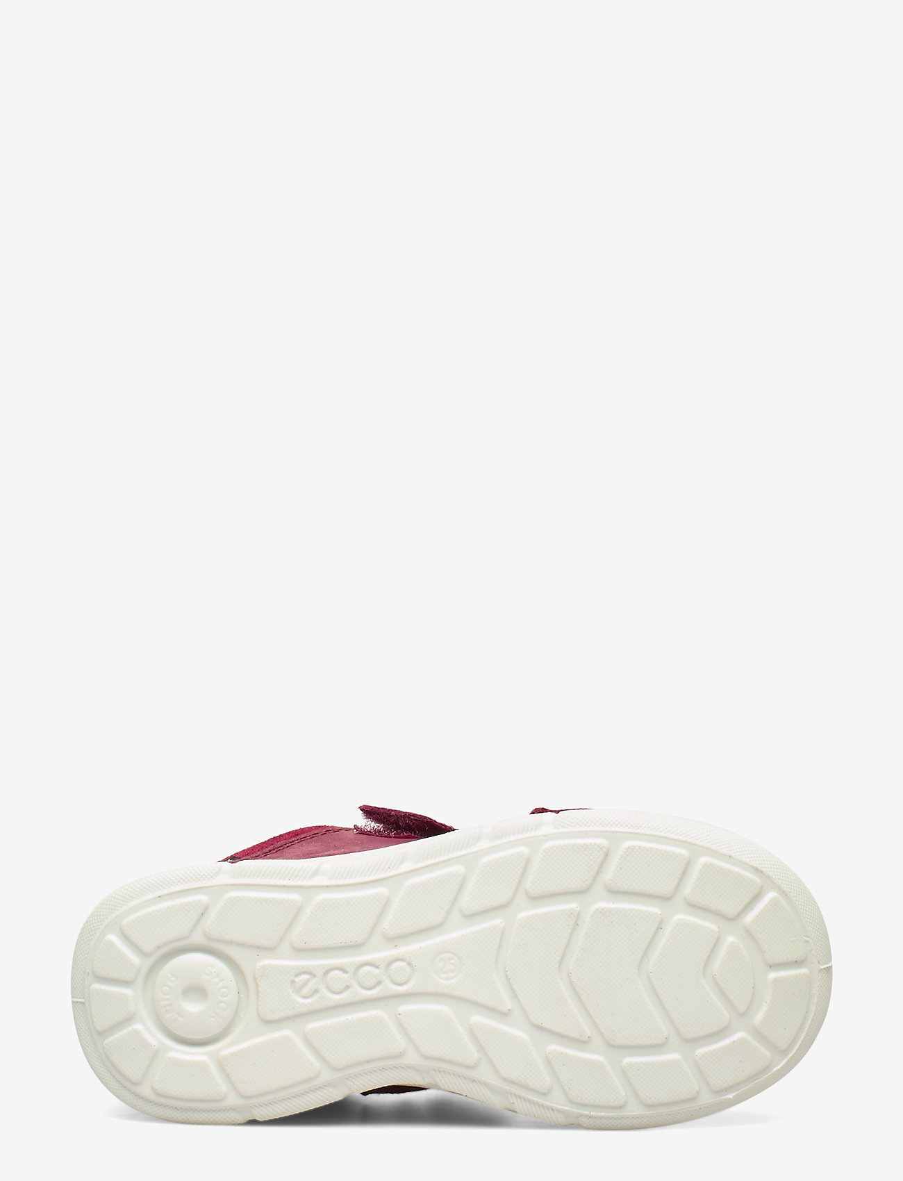ECCO - FIRST - morillo/red plum/red plum - 4