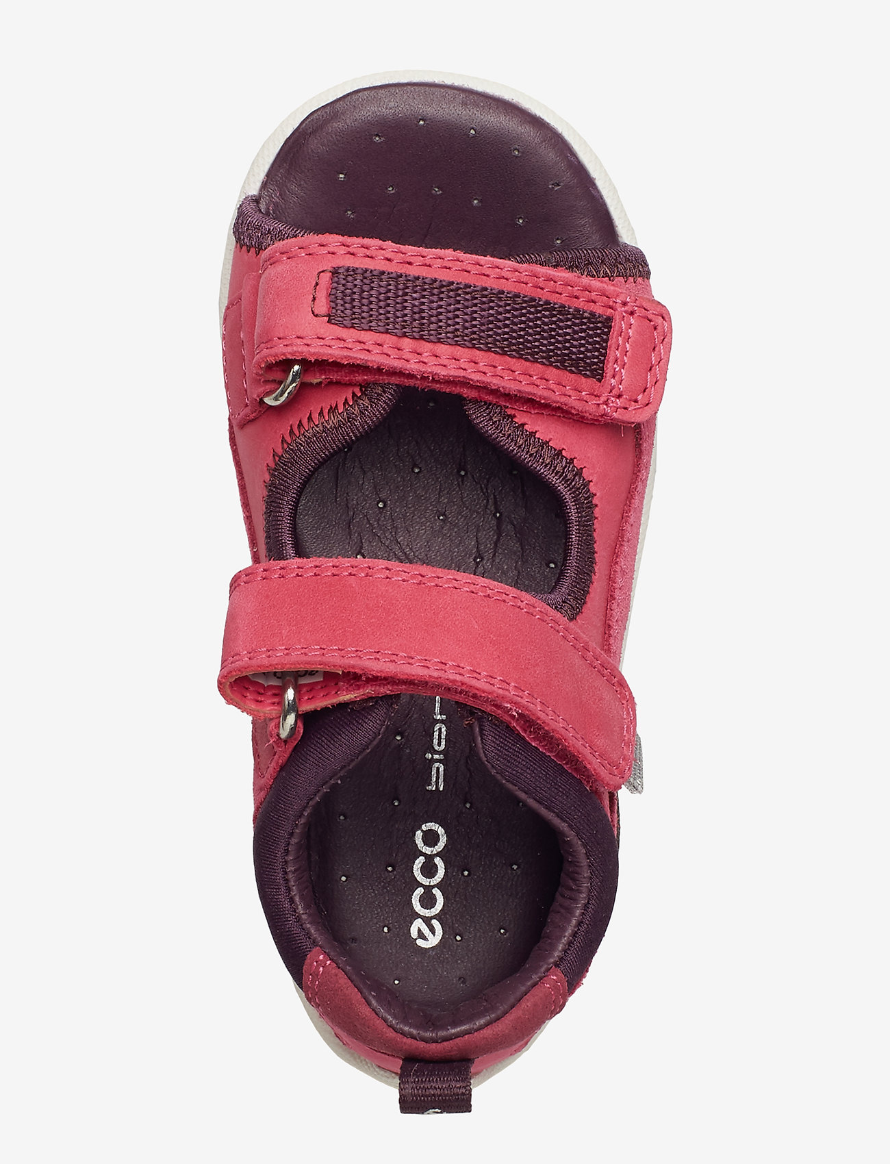 ECCO - BIOM MINI SANDAL - beetroot/beetroot - 3