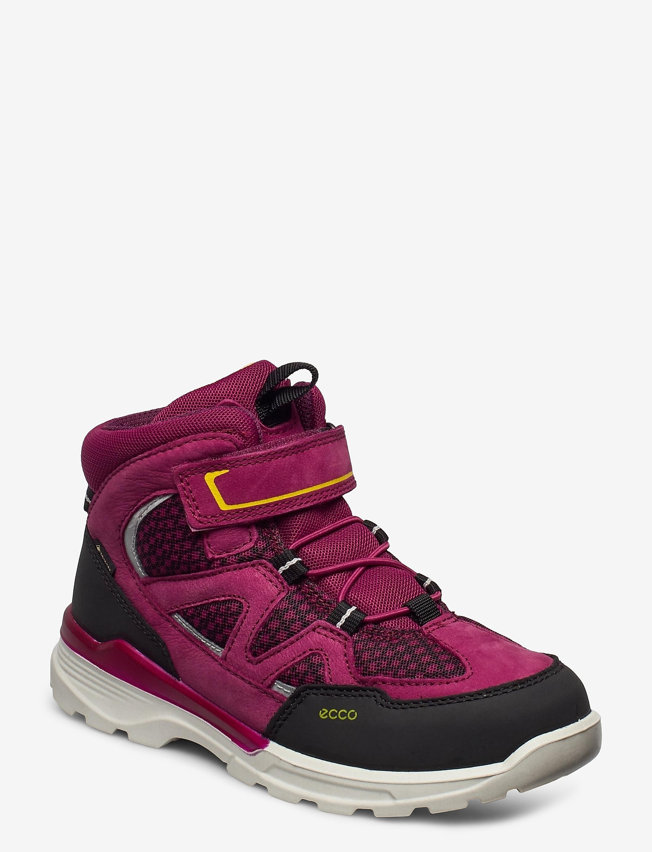 BLACK/RED PLUM