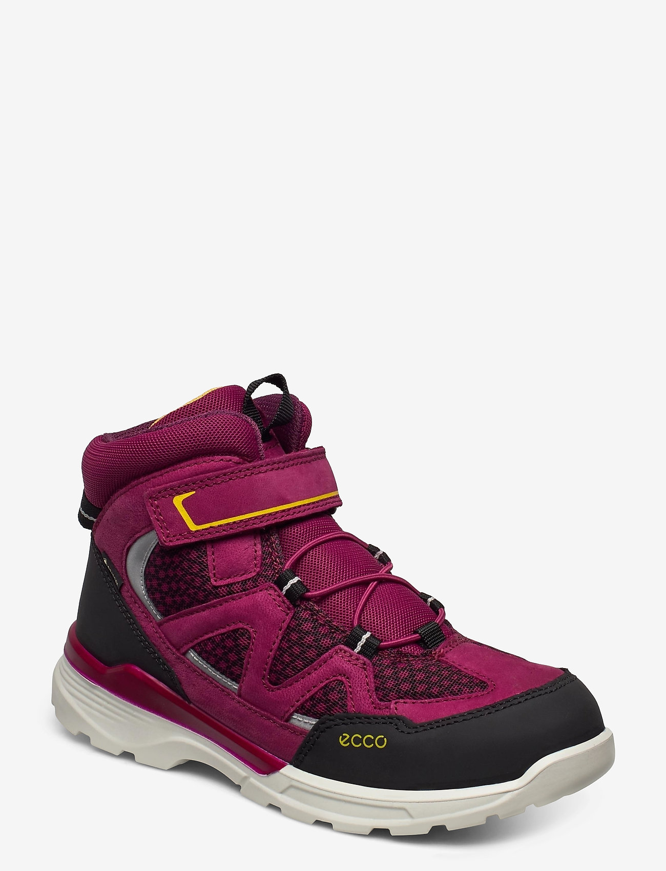 BLACK/RED PLUM