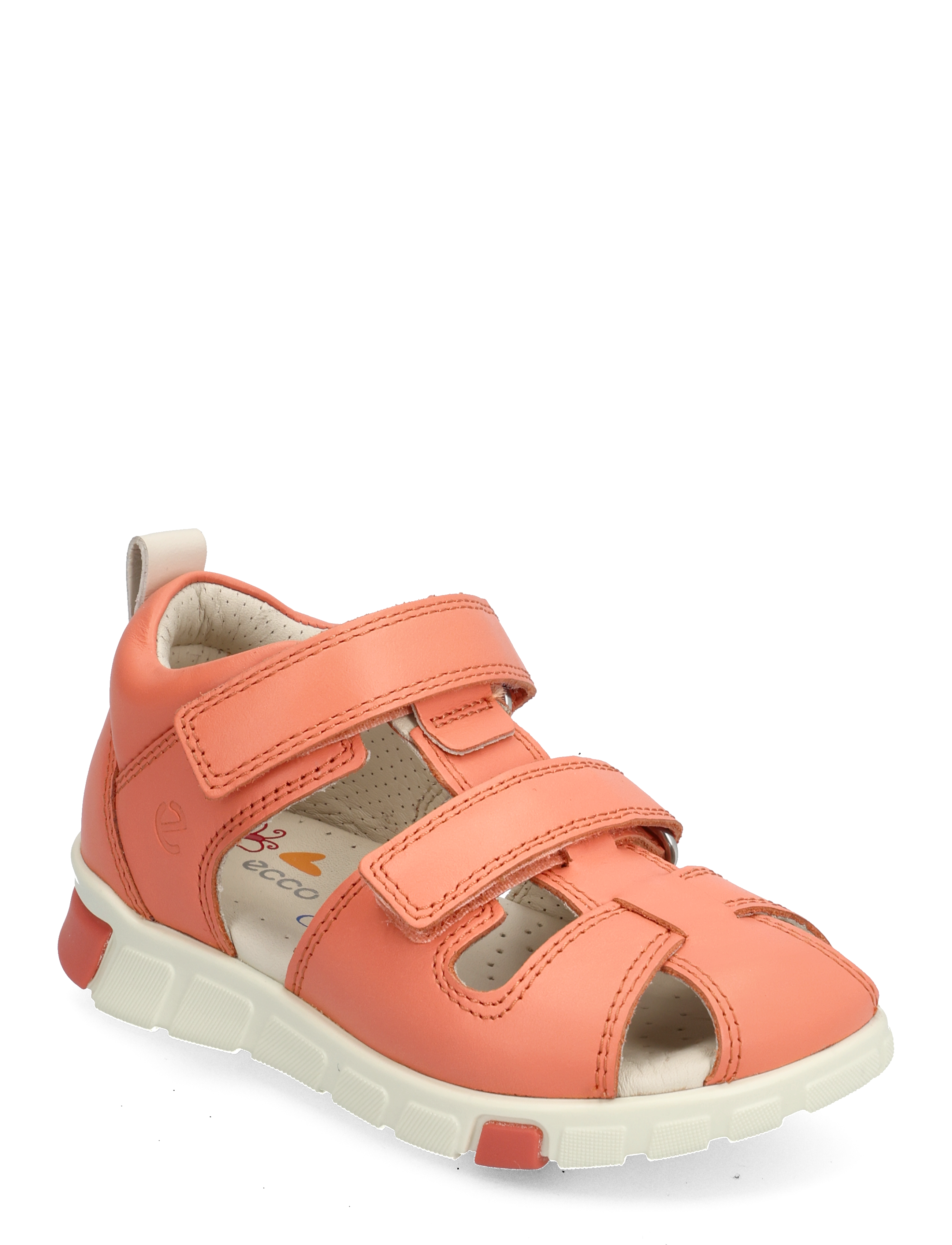 CORAL