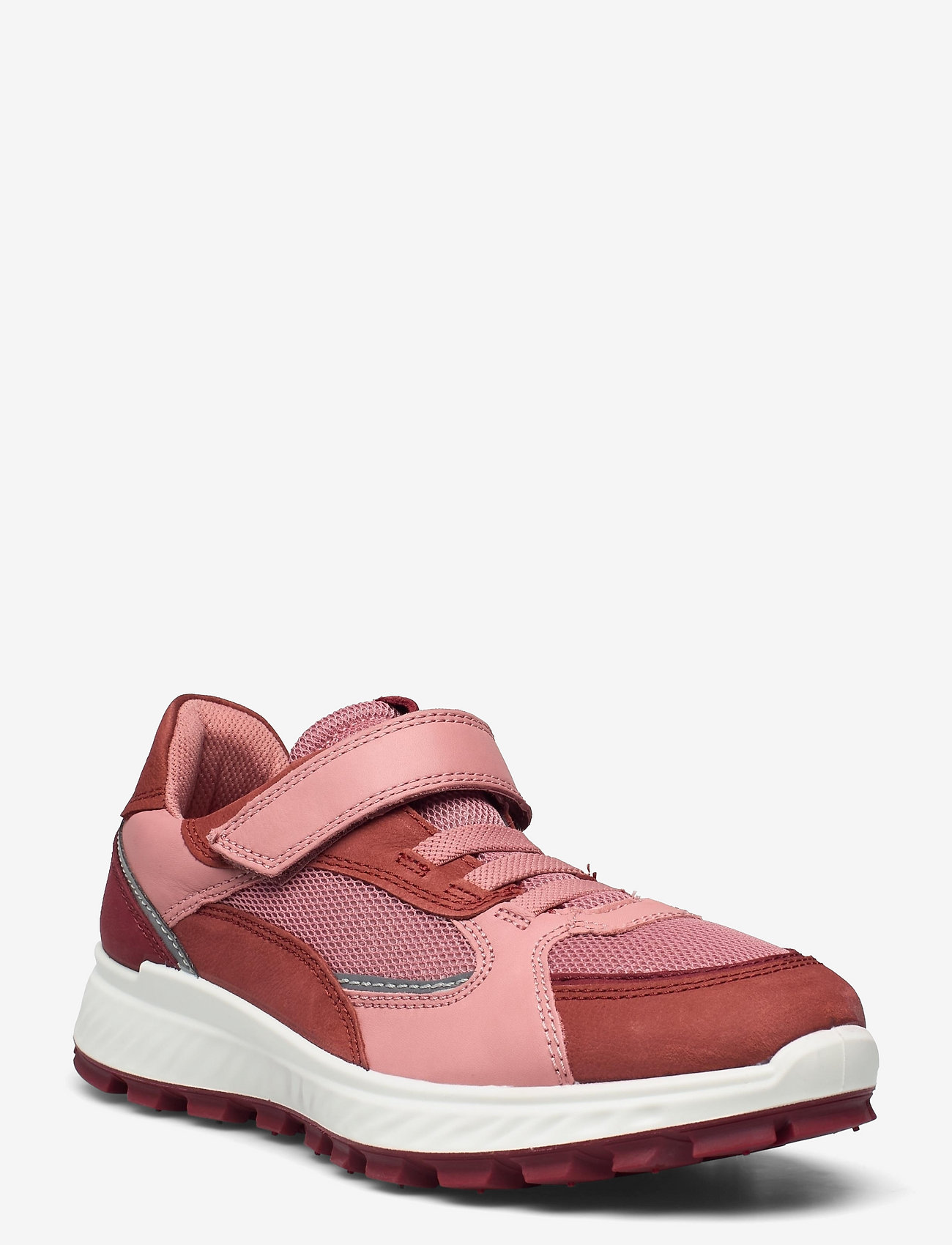 MARSALA/SYRAH/DAMASK ROSE