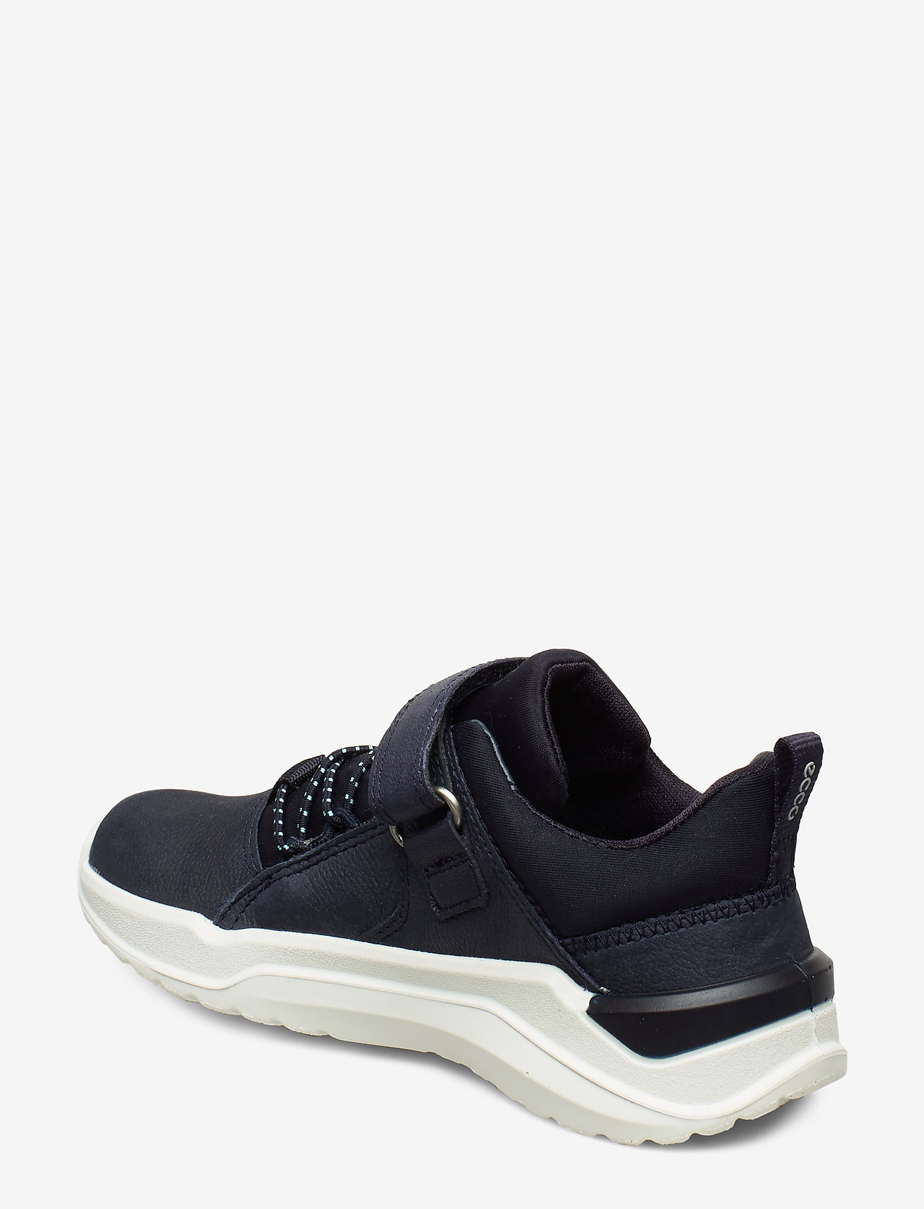 ECCO - INTERVENE - night sky/night sky/night sky - 2