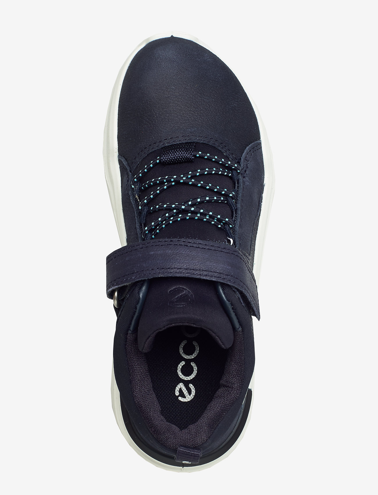 ECCO - INTERVENE - night sky/night sky/night sky - 3