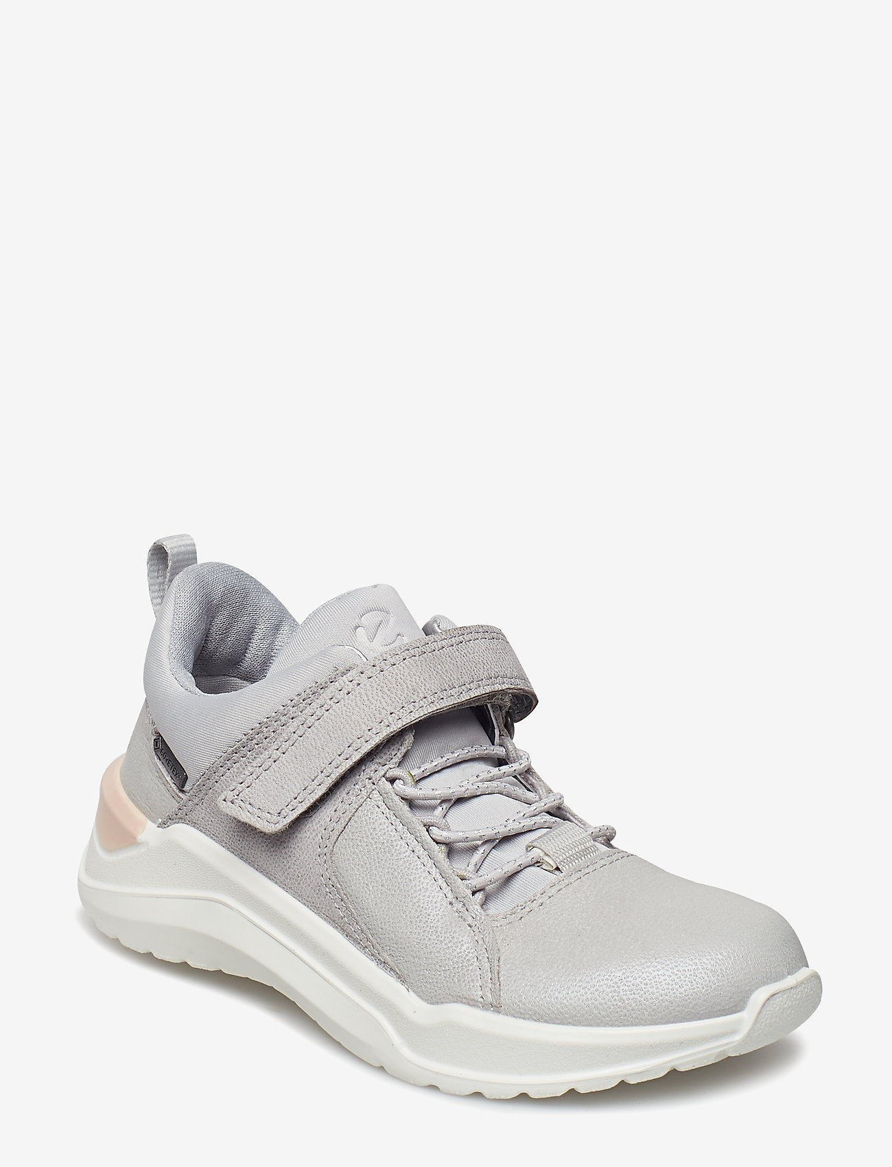 INTERVENE - CONCRETE/WILD DOVE