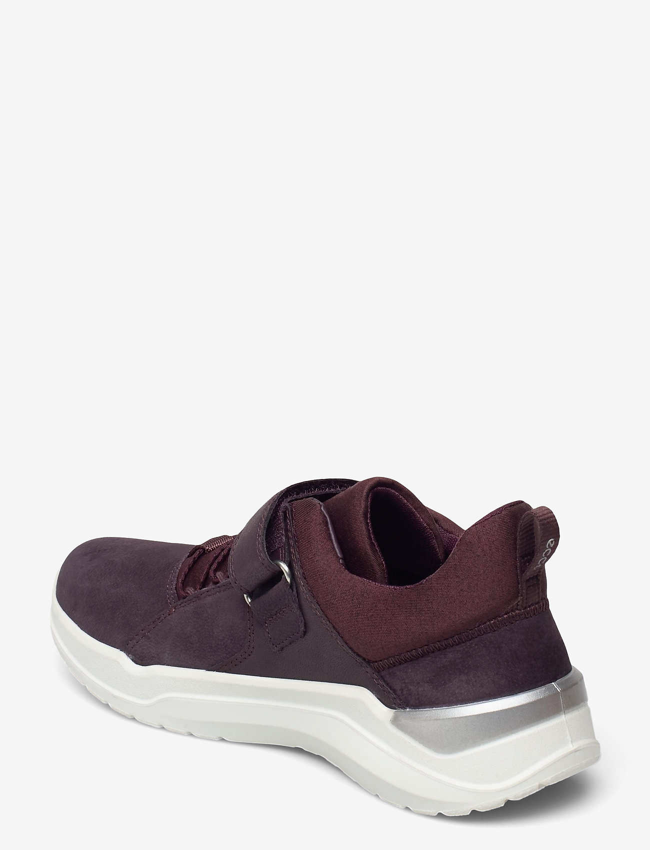 ECCO - INTERVENE - fig/fig/fig - 2