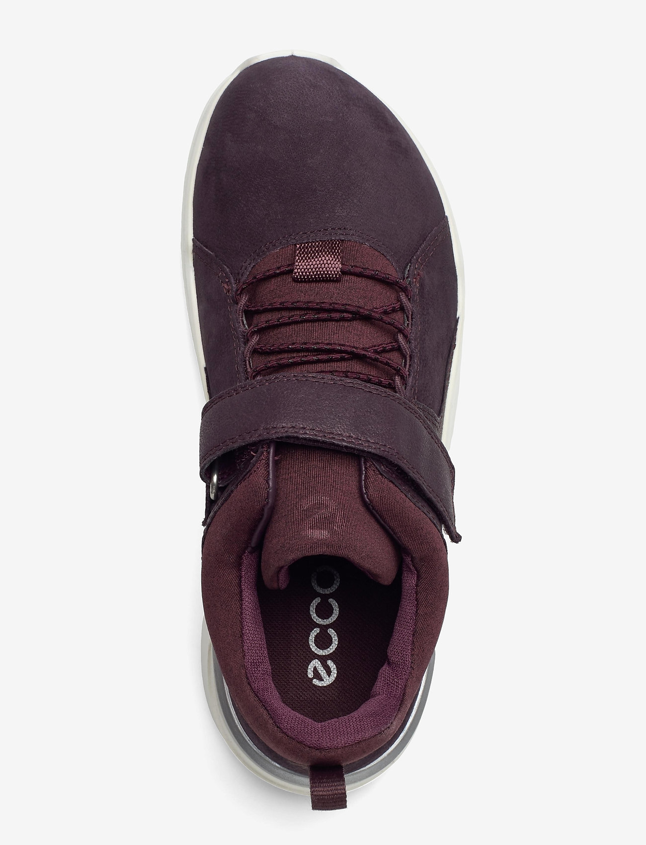 ECCO - INTERVENE - fig/fig/fig - 3