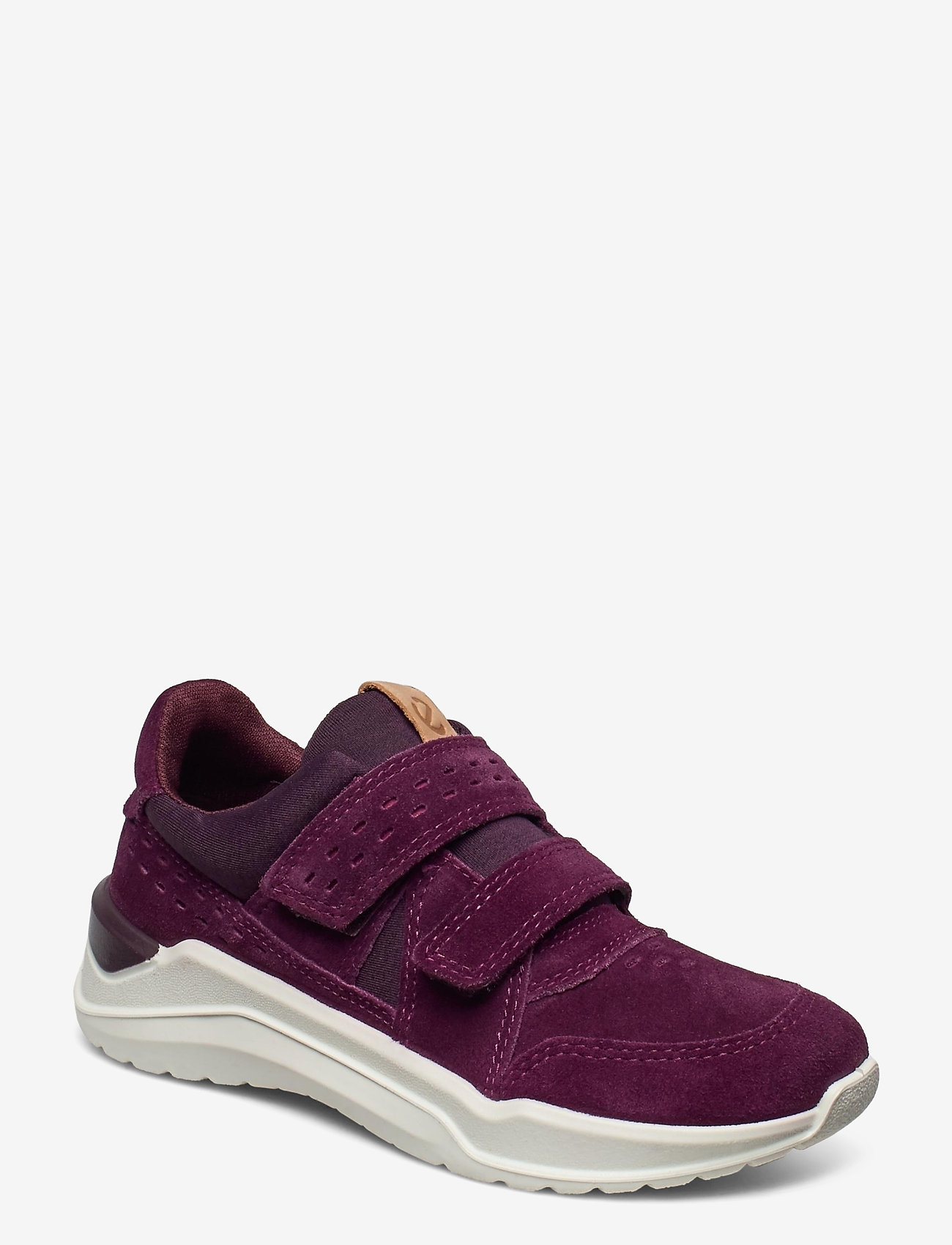 AUBERGINE