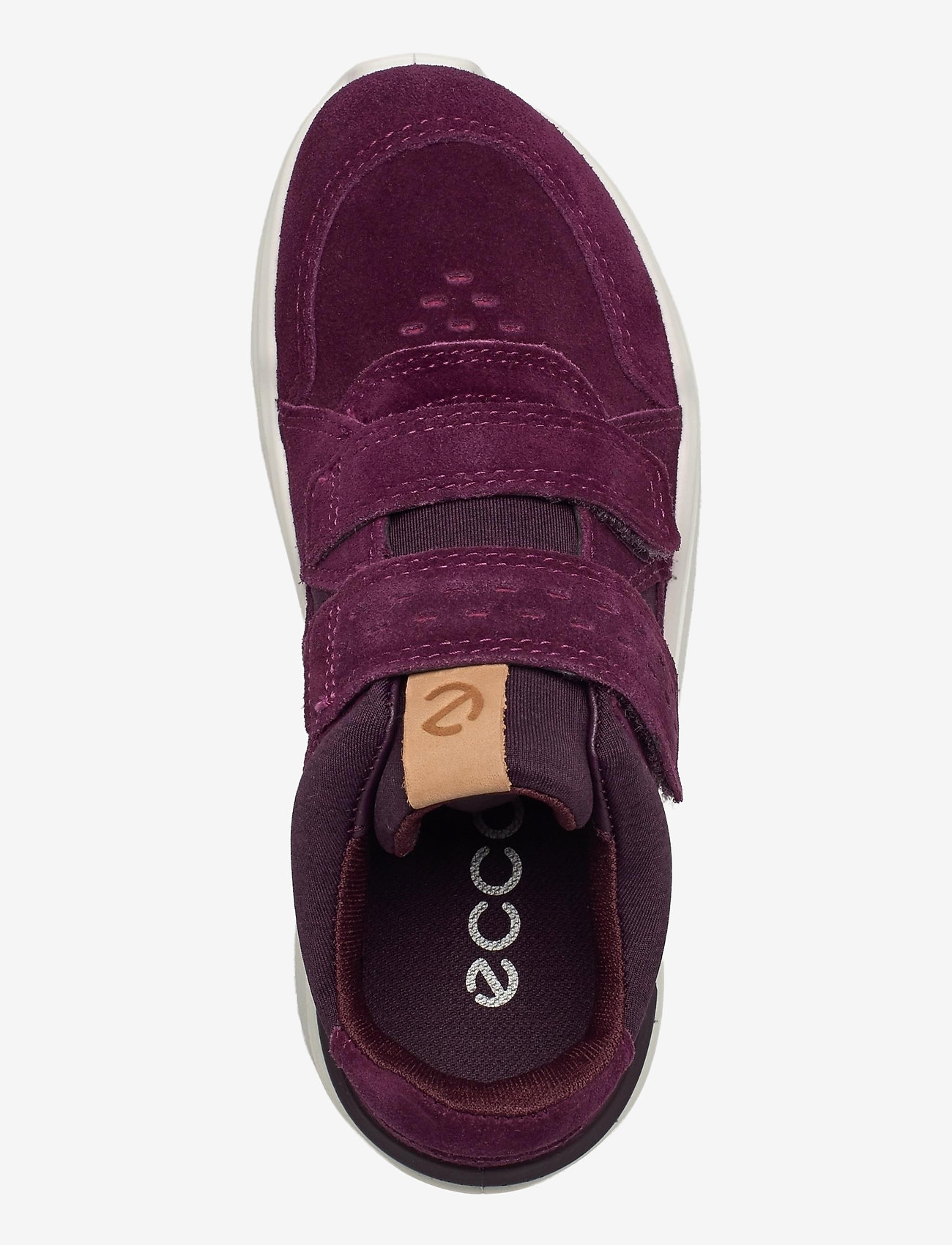 ECCO - INTERVENE - aubergine - 3