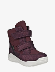 Ecco 2024 urban mini