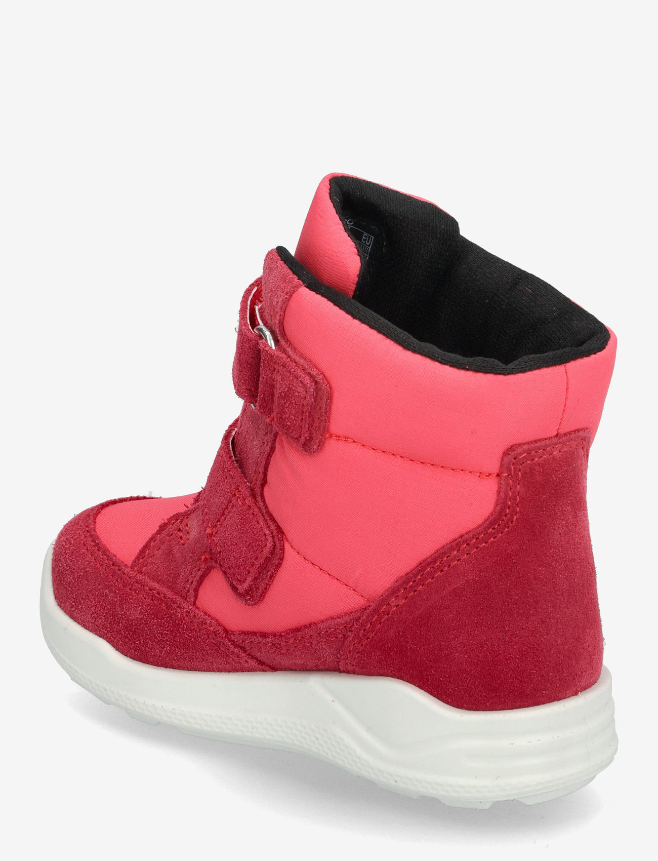 ECCO - URBAN MINI - herbstschuhe - teaberry/teaberry - 2