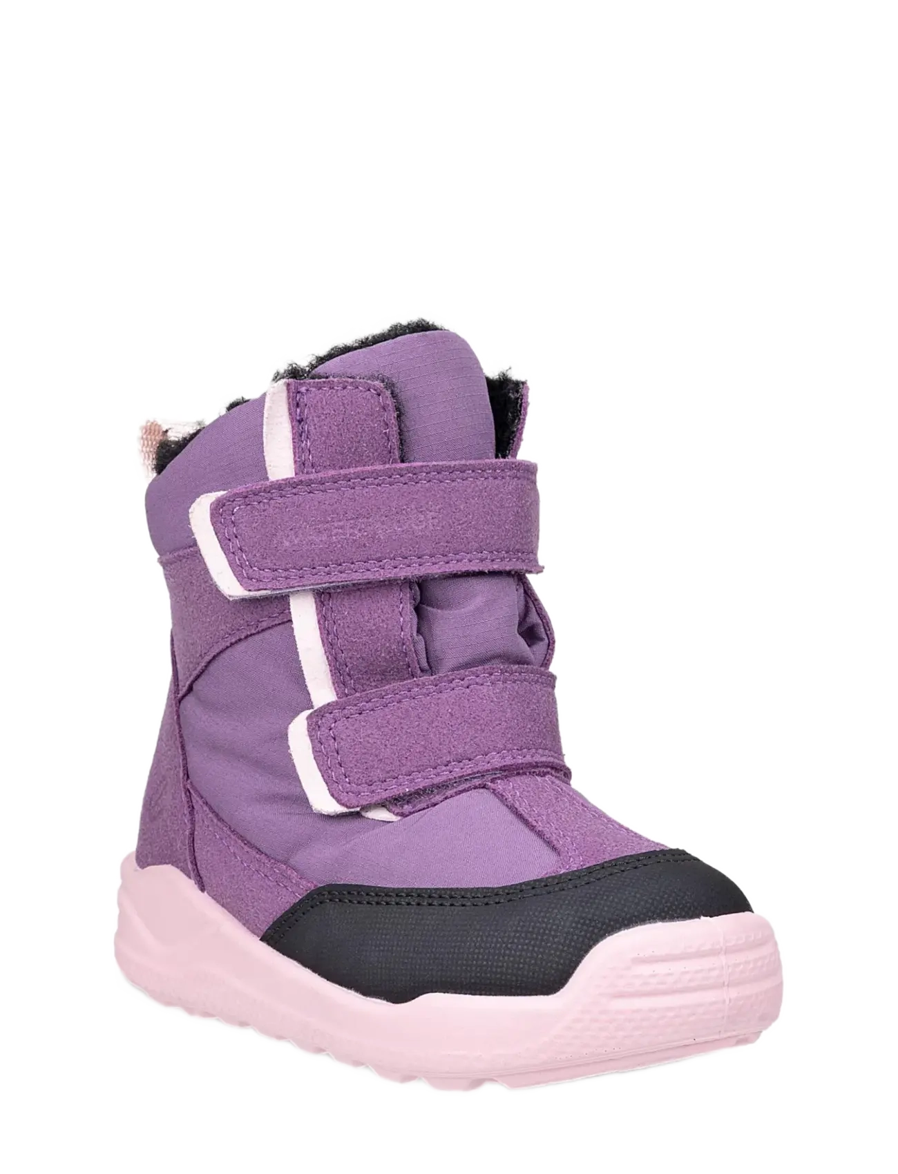 ECCO URBAN MINI - Winterkollektion - BLACK/GRAPE/GRAPE/PALE LILAC / purple