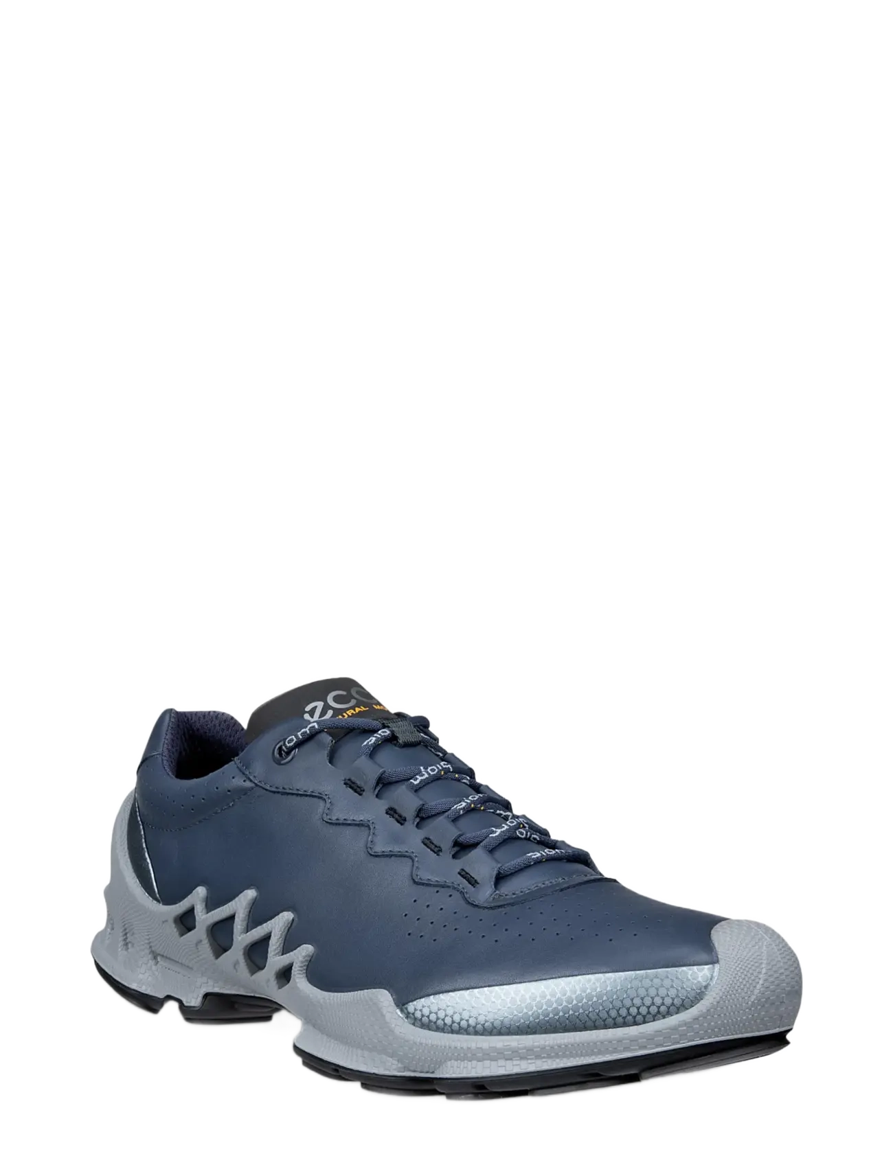 BUFFED SILVER/OMBRE
