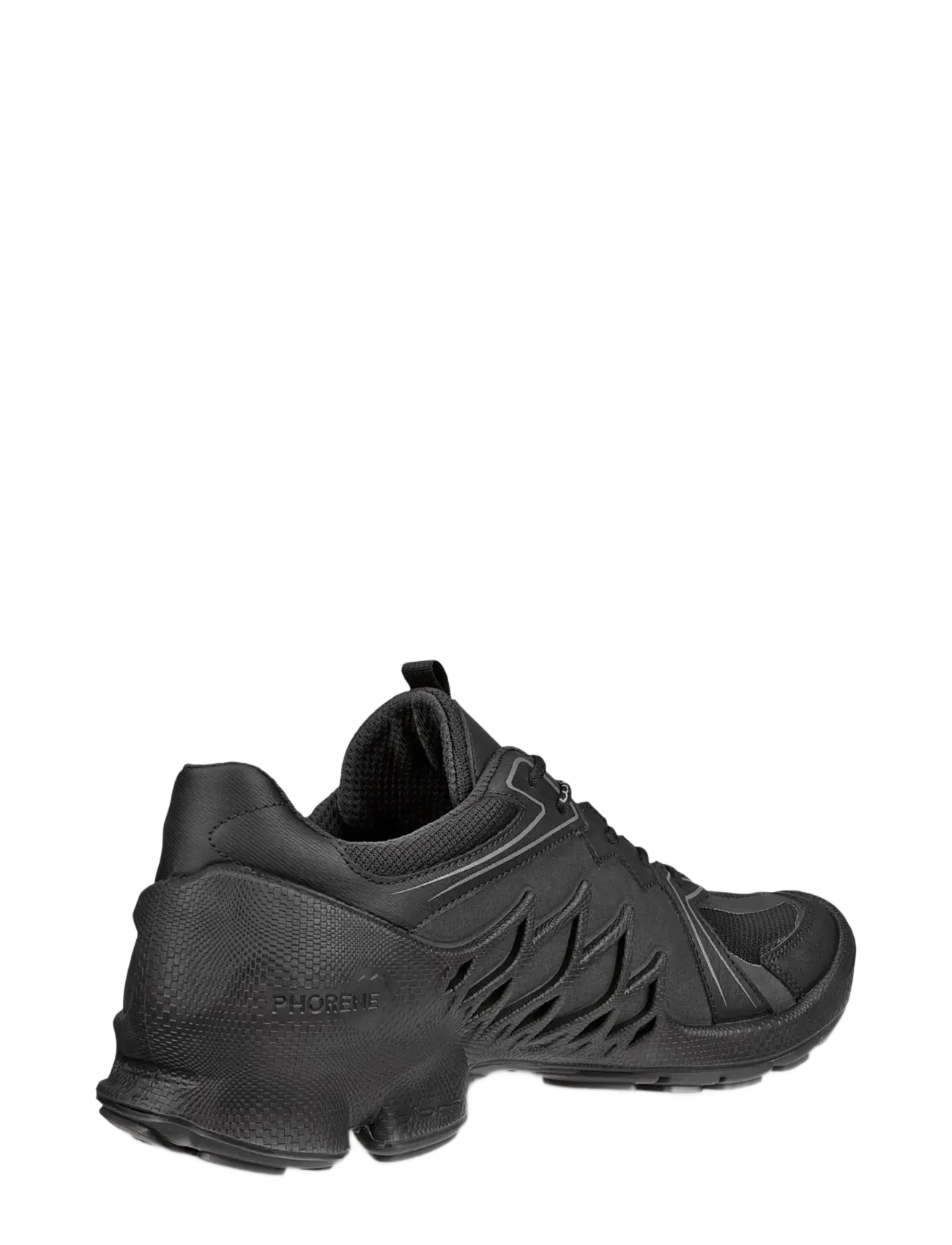 ECCO - BIOM AEX M - black/black/black - 3