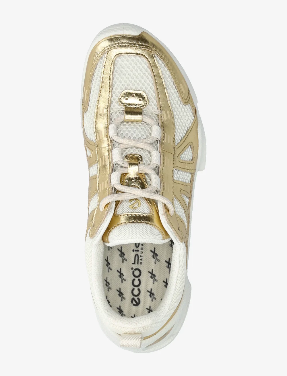 Ecco gold top