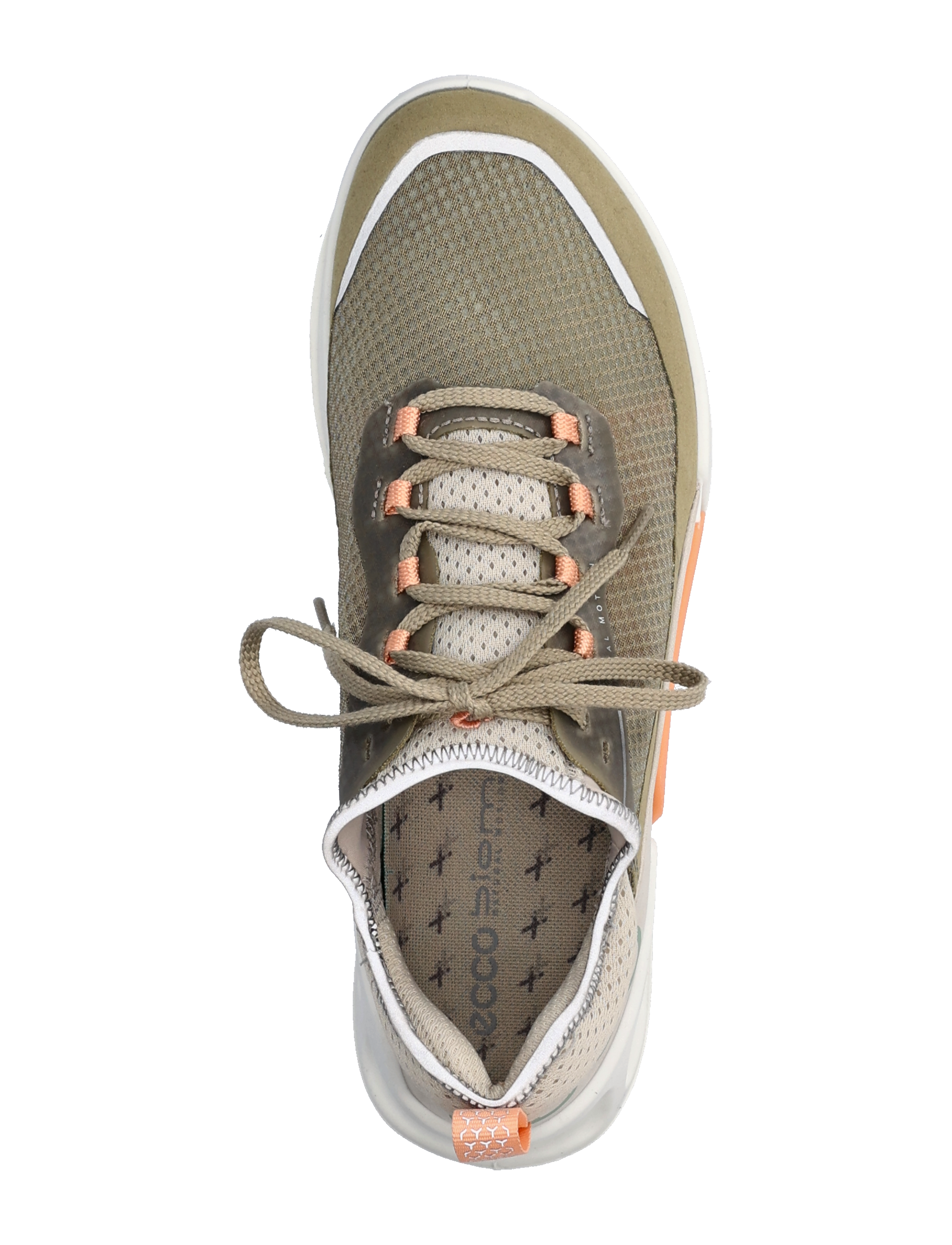 ECCO - BIOM 2.1 X COUNTRY W - sage/sage/gravel - 3