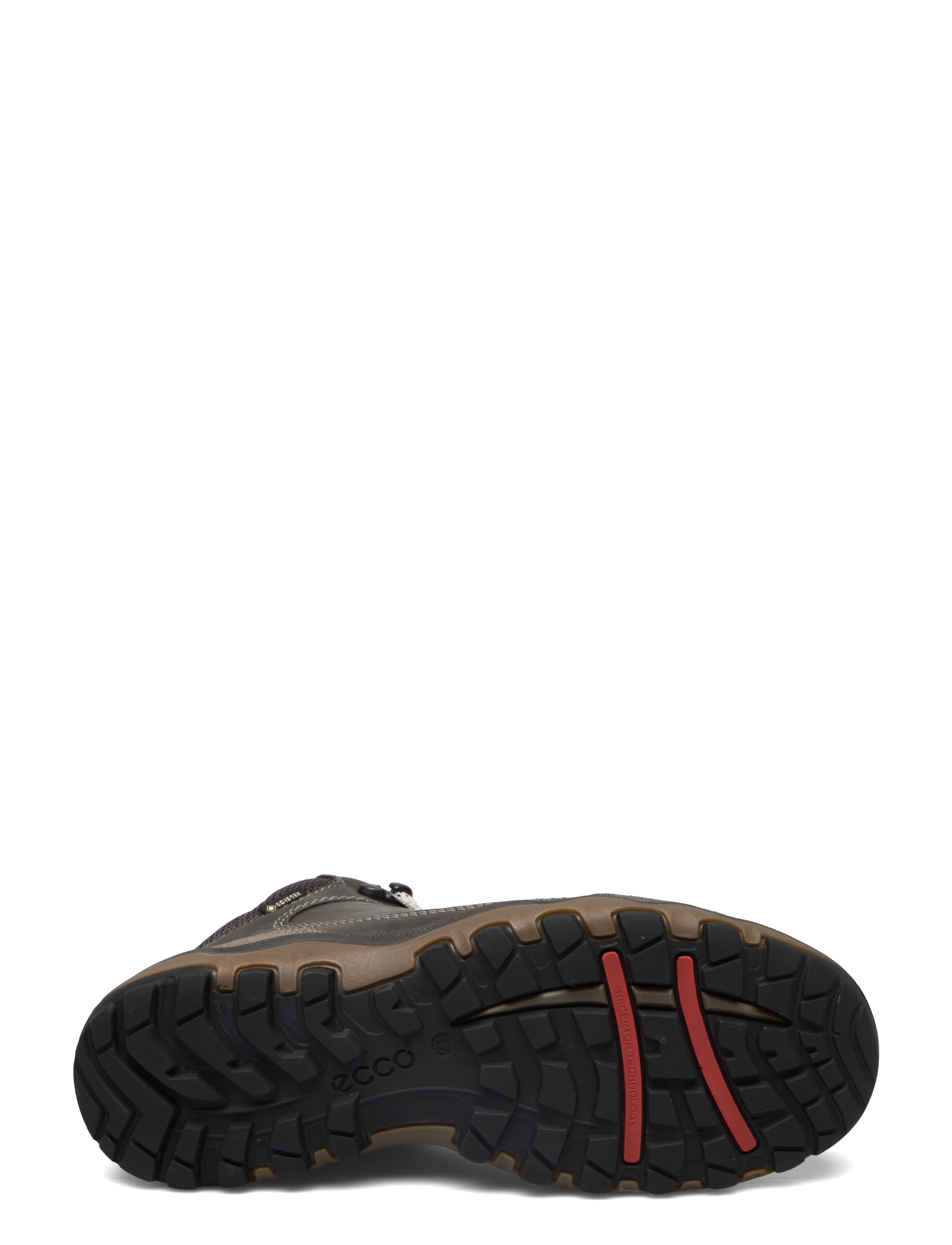 ECCO - ULTERRA W - warm grey/warm grey - 4