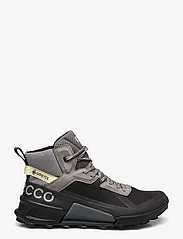 ECCO - BIOM 2.1 X MOUNTAIN - hiking shoes - black/steel - 1
