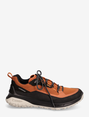 ECCO - ULT-TRN M - hiking shoes - black/cognac - 1