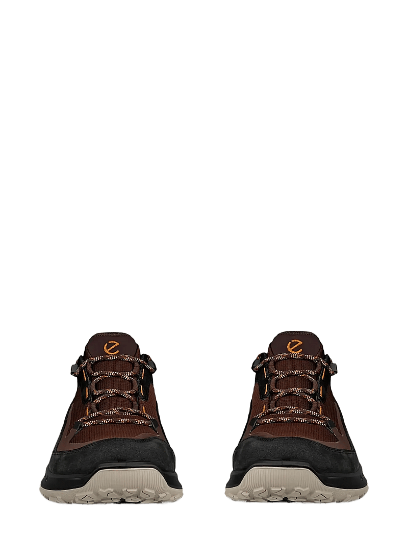 ECCO - ULT-TRN M - wanderschuhe - black/mocha - 5
